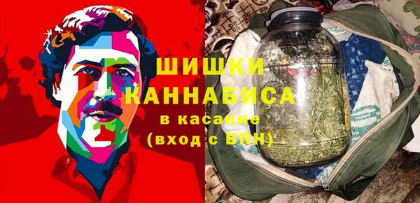 спиды Вяземский