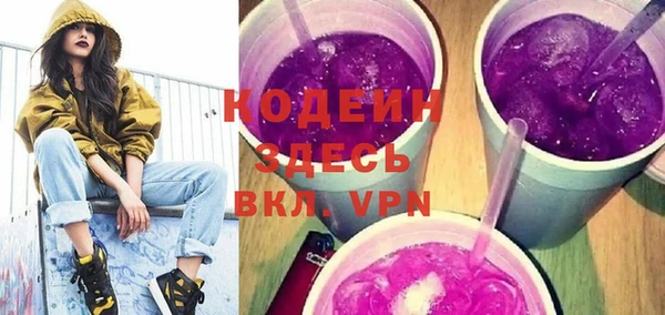 спиды Вяземский