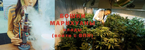 спиды Вяземский