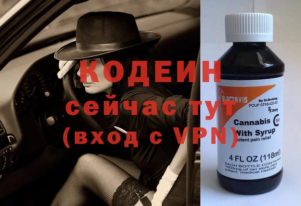 спиды Вяземский