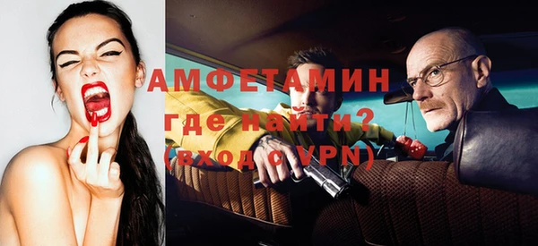 спиды Вяземский