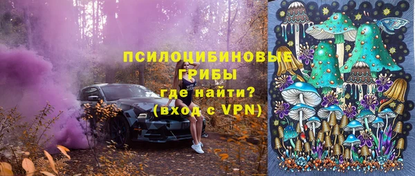спиды Вяземский